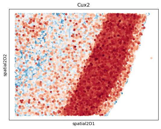 _images/Case_III_STAVAG_on_STARmap_3D_cortex_15_0.png