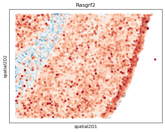 _images/Case_III_STAVAG_on_STARmap_3D_cortex_15_4.png