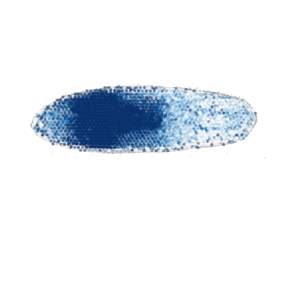 _images/Case_II_STAVAG_on_3D_planarian_data_13_1.png