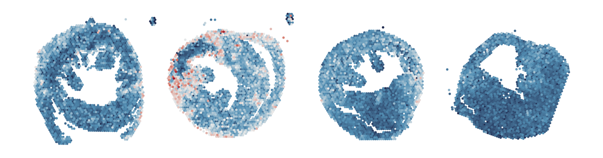 _images/Case_IV_STAVAG_on_mouse_myocardial_infarction_progression_data_21_7.png