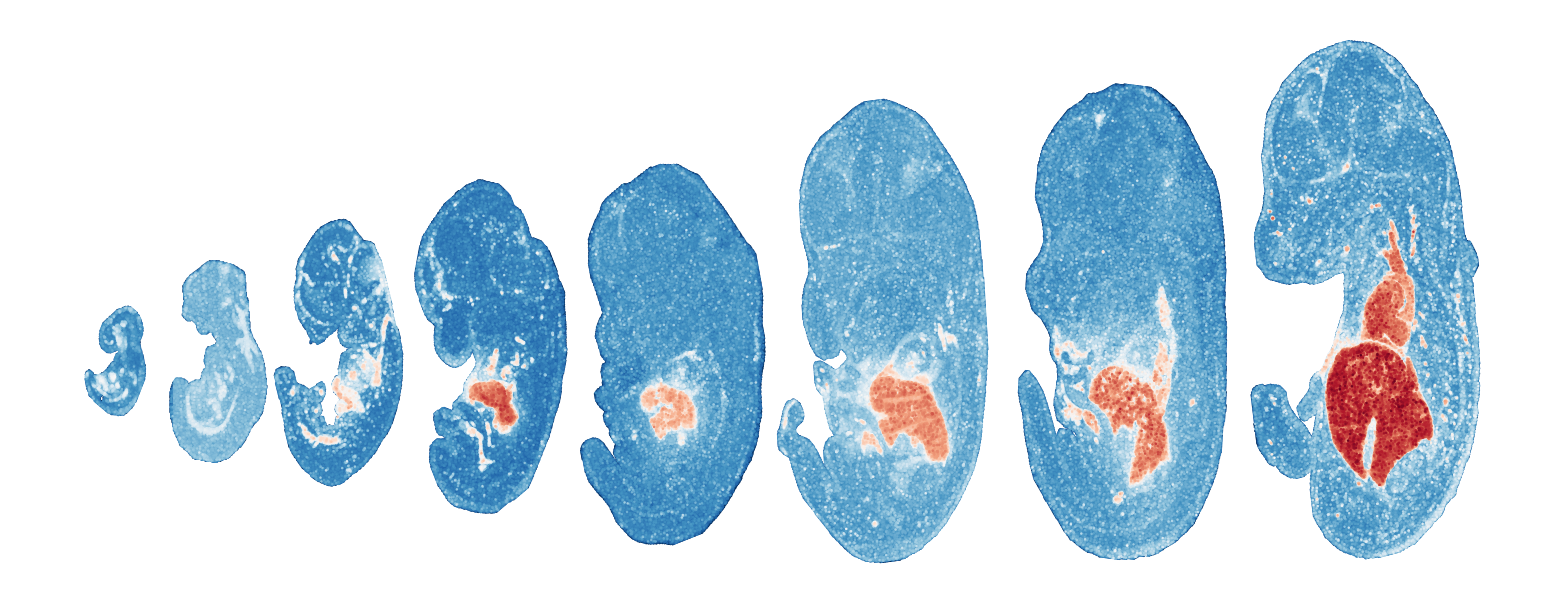 _images/Case_V_STAVAG_on_mouse_embryonic_development_data_16_13.png