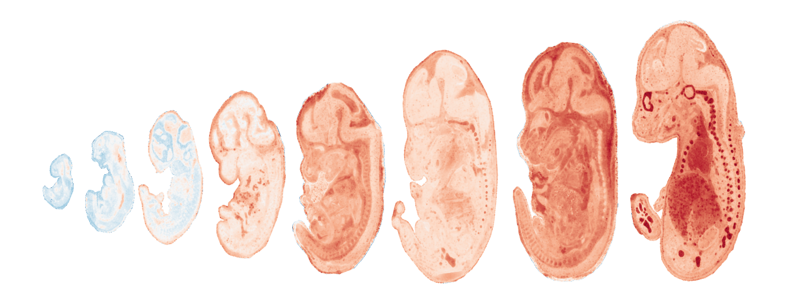 _images/Case_V_STAVAG_on_mouse_embryonic_development_data_16_15.png