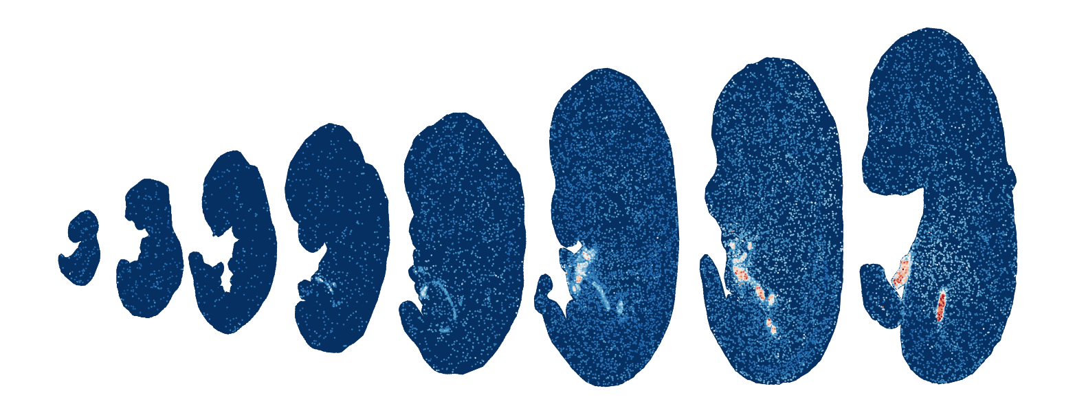 _images/Case_V_STAVAG_on_mouse_embryonic_development_data_16_17.png