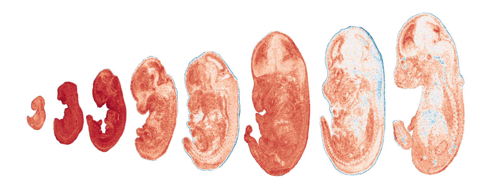 _images/Case_V_STAVAG_on_mouse_embryonic_development_data_16_21.png