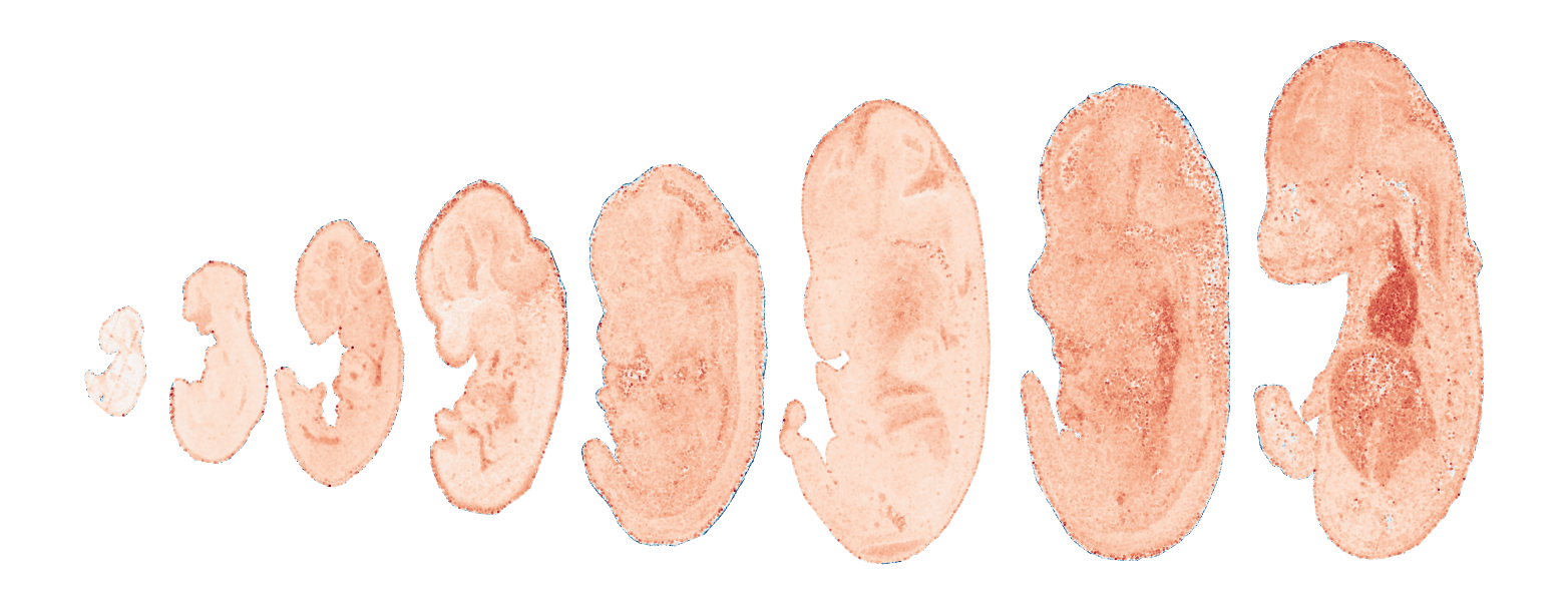 _images/Case_V_STAVAG_on_mouse_embryonic_development_data_16_23.png