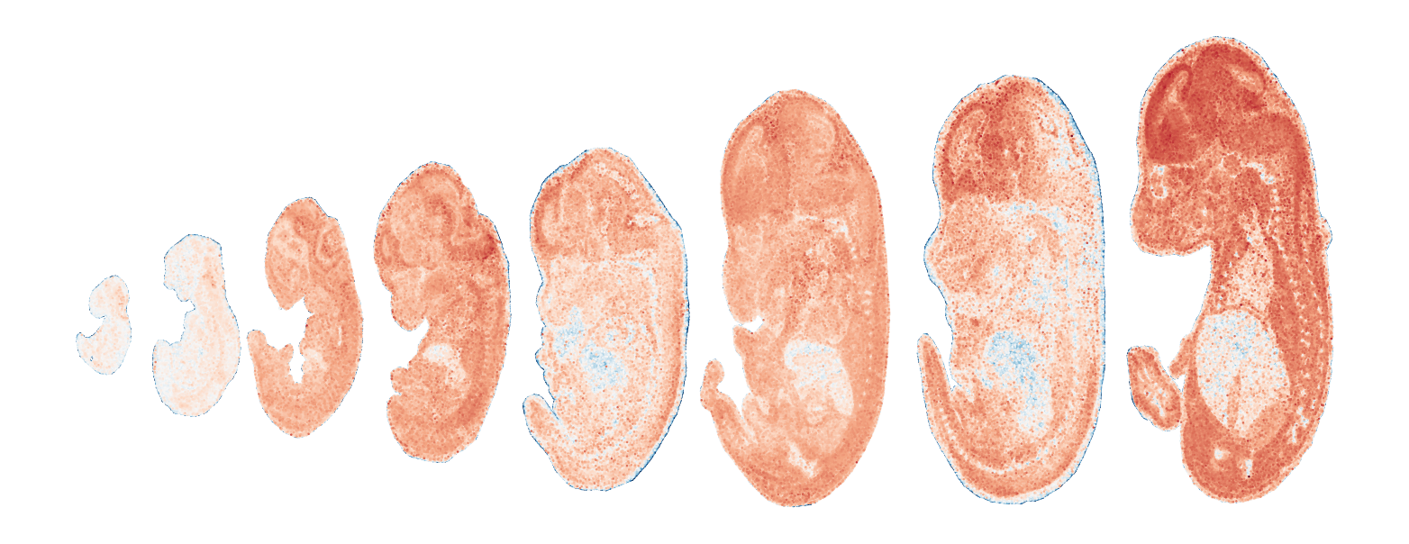 _images/Case_V_STAVAG_on_mouse_embryonic_development_data_16_27.png