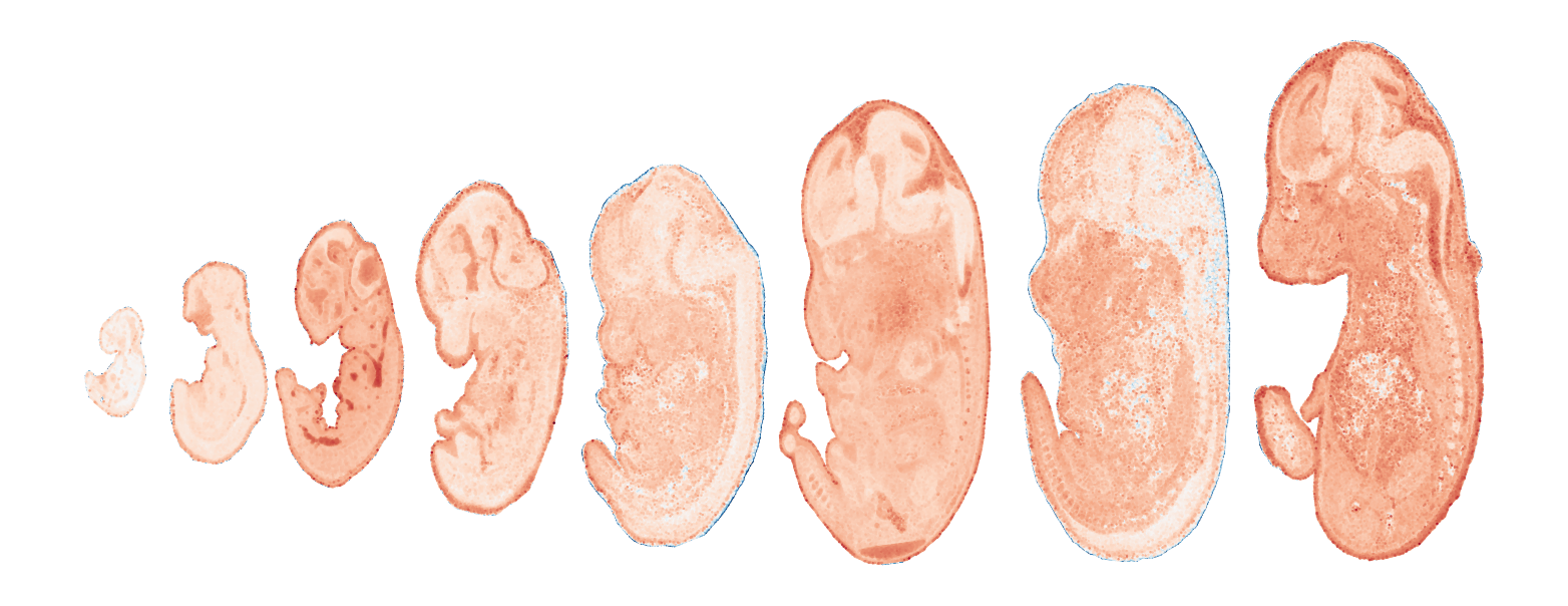 _images/Case_V_STAVAG_on_mouse_embryonic_development_data_16_3.png