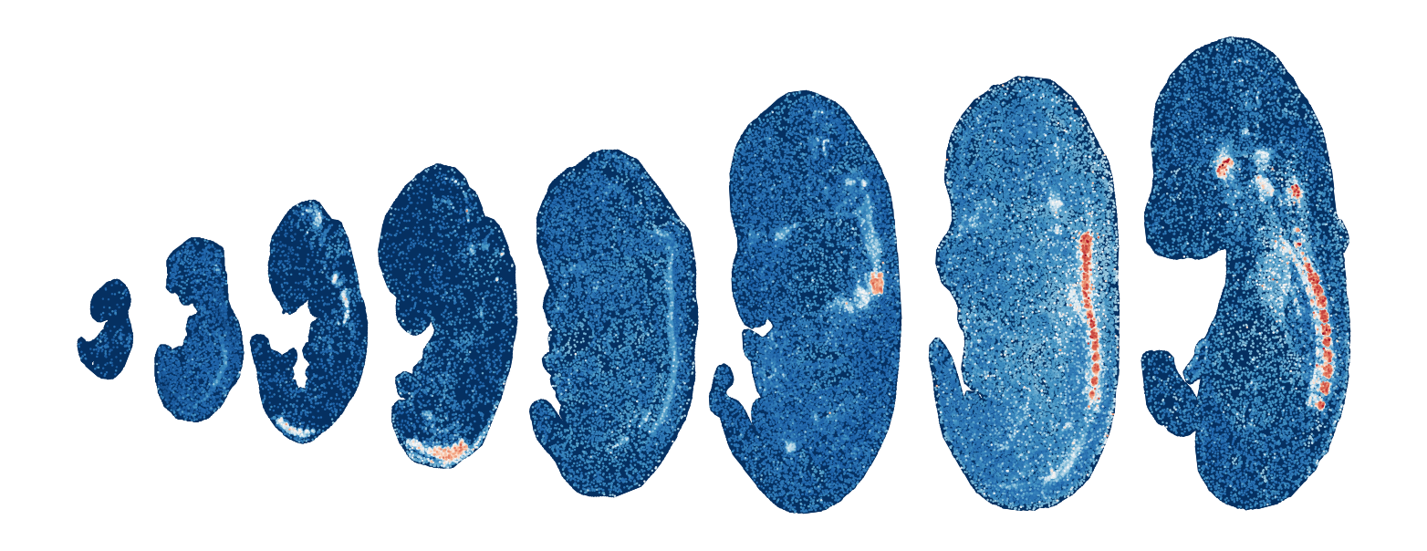 _images/Case_V_STAVAG_on_mouse_embryonic_development_data_16_31.png