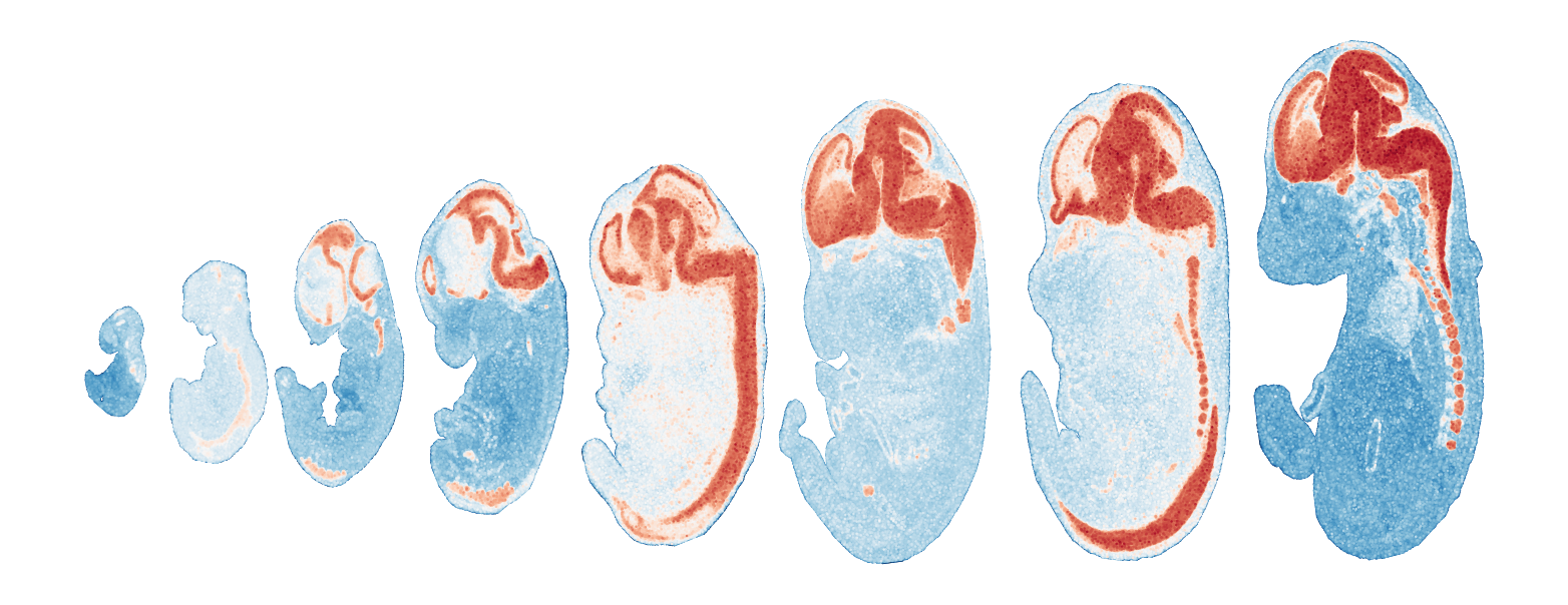 _images/Case_V_STAVAG_on_mouse_embryonic_development_data_16_33.png