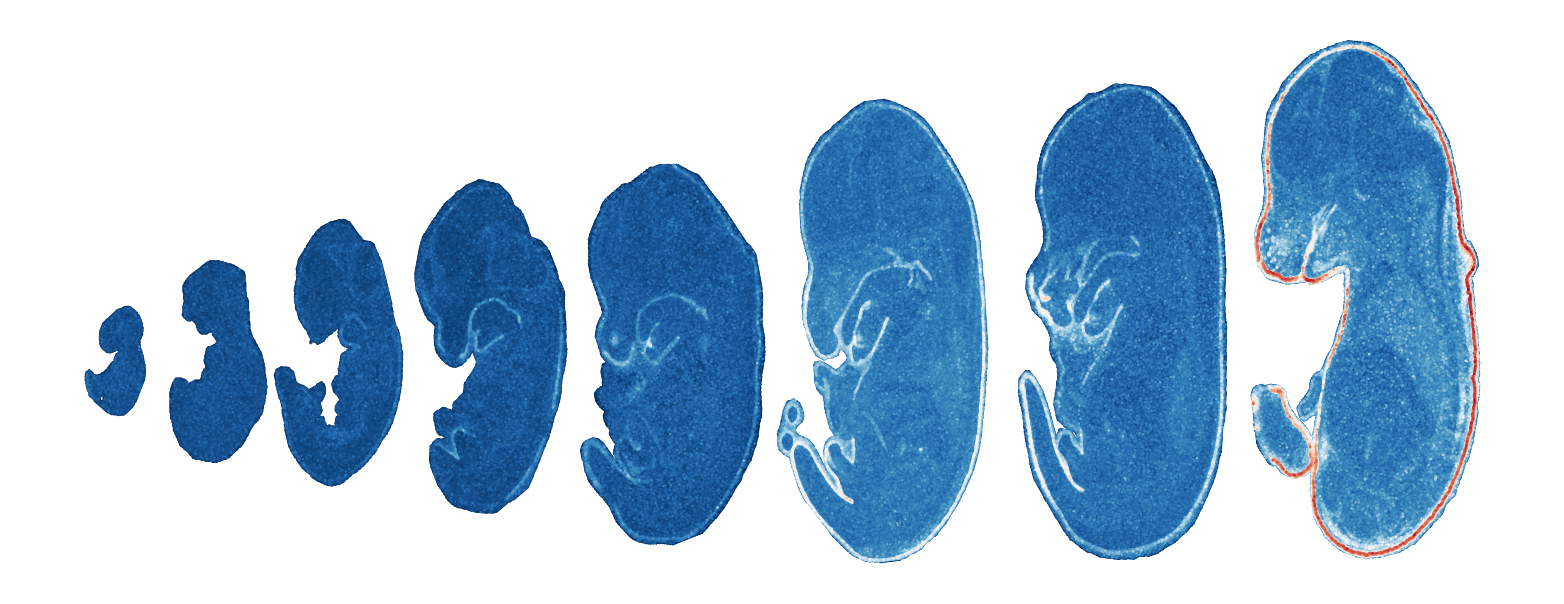 _images/Case_V_STAVAG_on_mouse_embryonic_development_data_16_5.png