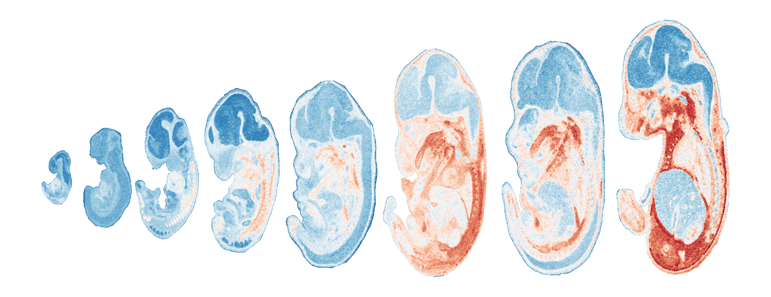 _images/Case_V_STAVAG_on_mouse_embryonic_development_data_16_9.png