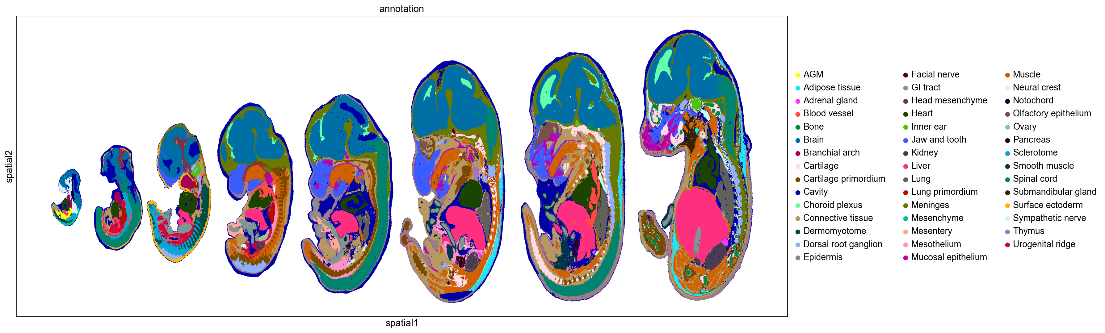 _images/Case_V_STAVAG_on_mouse_embryonic_development_data_8_0.png